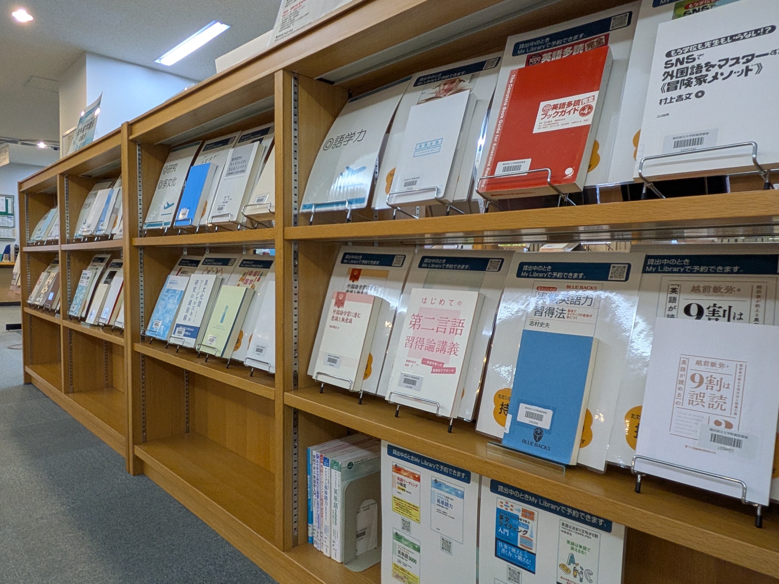 International week 2025fall