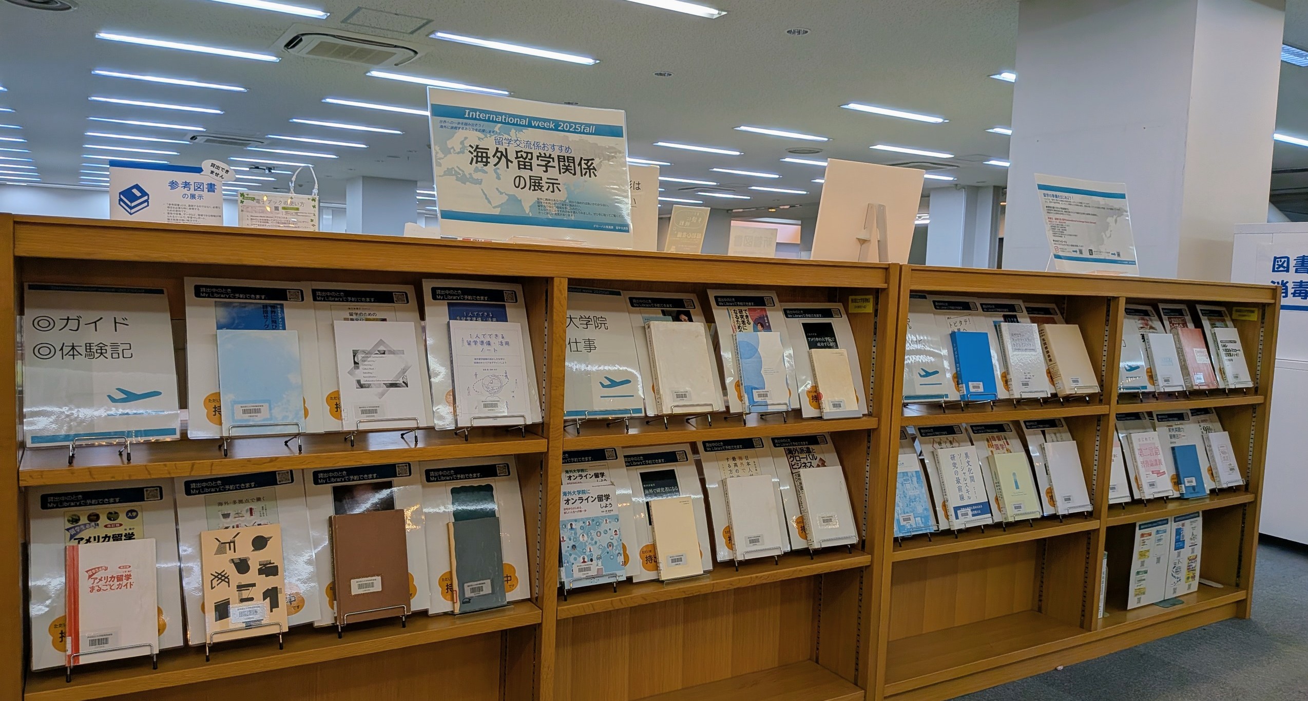 International week 2025fall